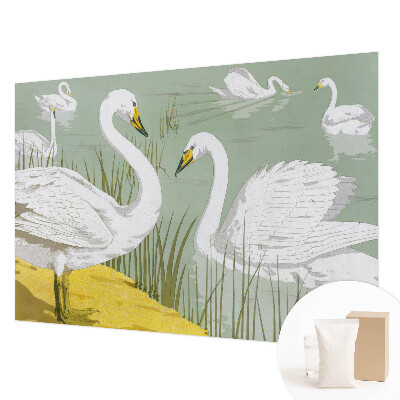 Flíz fotótapéta Hattyúk tava