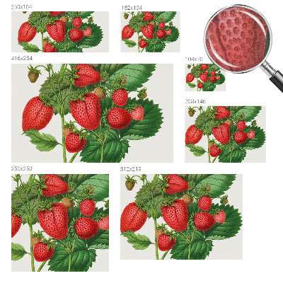 Fotótapéta hálószobába Nyári gyümölcsök