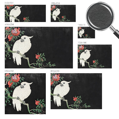 Modern fotótapéta méretre Gránátalma papagáj