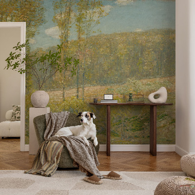 Fotótapéta méretre Erdő táj