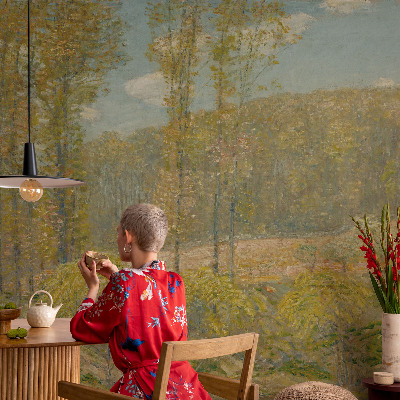 Fotótapéta méretre Erdő táj