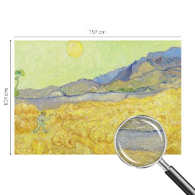 Fali poszter tapéta Búzamező