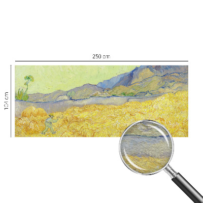 Fali poszter tapéta Búzamező