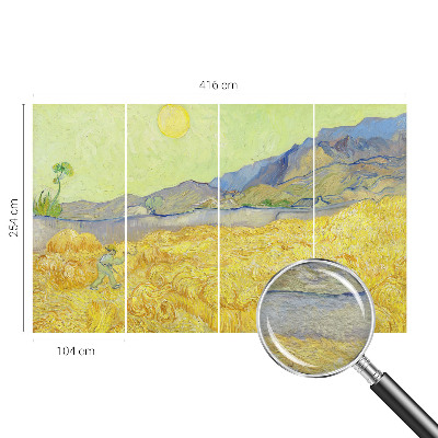 Fali poszter tapéta Búzamező