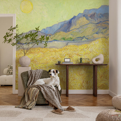 Fali poszter tapéta Búzamező