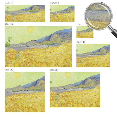 Fali poszter tapéta Búzamező