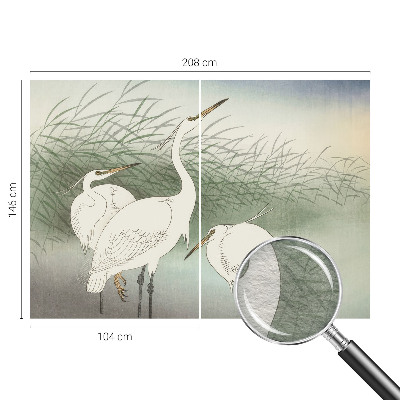 Vlies fotótapéta hálószobába Gémek a fűben