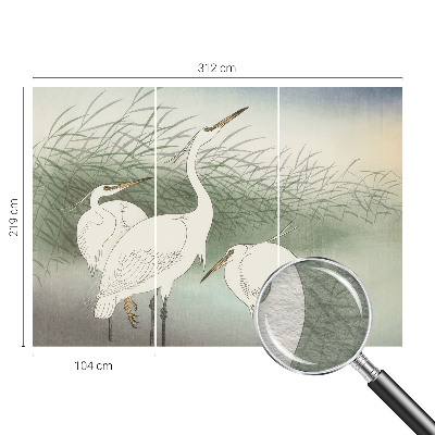 Vlies fotótapéta hálószobába Gémek a fűben