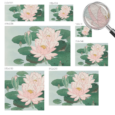 Vlies alapú fotótapéta Vízi lótusz