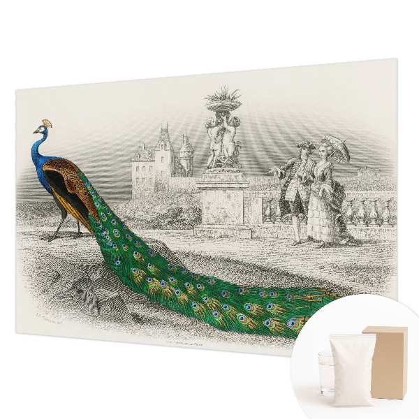 Nyomtatott vlies fotótapéta Színes tollak