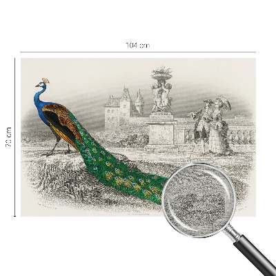 Nyomtatott vlies fotótapéta Színes tollak