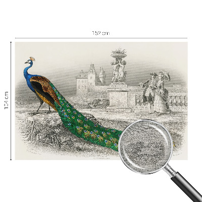 Nyomtatott vlies fotótapéta Színes tollak