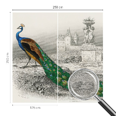 Nyomtatott vlies fotótapéta Színes tollak