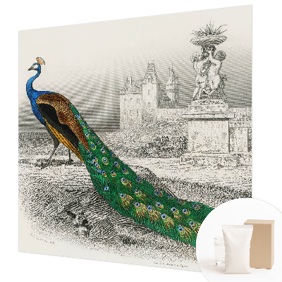 Nyomtatott vlies fotótapéta Színes tollak