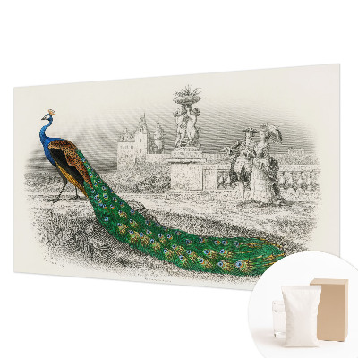 Nyomtatott vlies fotótapéta Színes tollak