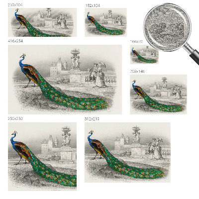 Nyomtatott vlies fotótapéta Színes tollak