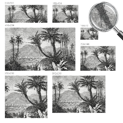 Poszter tapéta falra Trópusi oázis