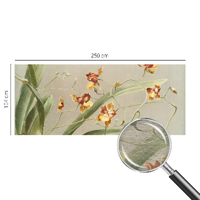 Vlies fotótapéta falra Klasszikus orchideák