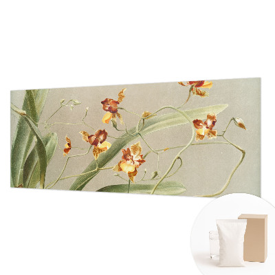 Vlies fotótapéta falra Klasszikus orchideák