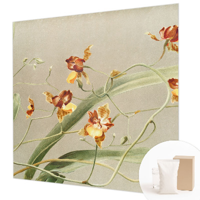 Vlies fotótapéta falra Klasszikus orchideák
