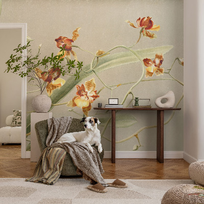 Vlies fotótapéta falra Klasszikus orchideák