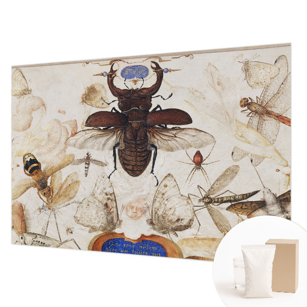 Fotótapéta Természetes harmónia