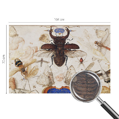 Fotótapéta Természetes harmónia