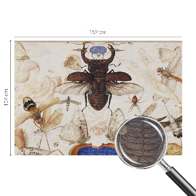 Fotótapéta Természetes harmónia