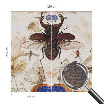 Fotótapéta Természetes harmónia