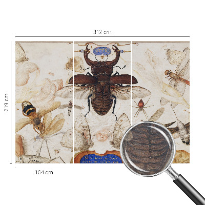 Fotótapéta Természetes harmónia