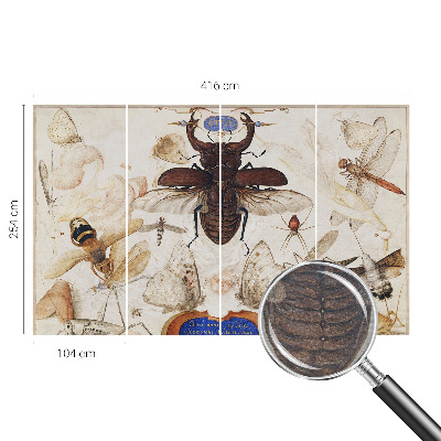 Fotótapéta Természetes harmónia