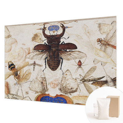 Fotótapéta Természetes harmónia