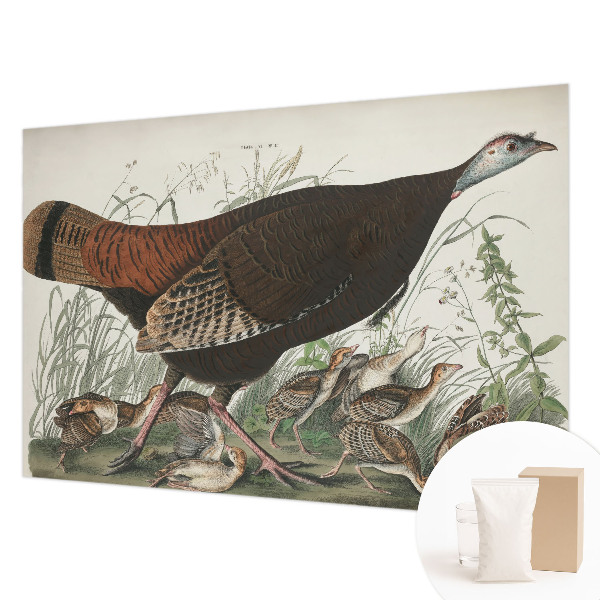 Fotótapéta méretre Természetes harmónia