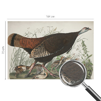 Fotótapéta méretre Természetes harmónia