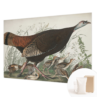 Fotótapéta méretre Természetes harmónia