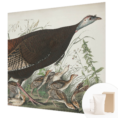 Fotótapéta méretre Természetes harmónia