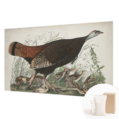 Fotótapéta méretre Természetes harmónia