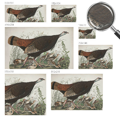 Fotótapéta méretre Természetes harmónia