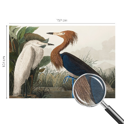 Modern fotótapéta Madarak a növényekben