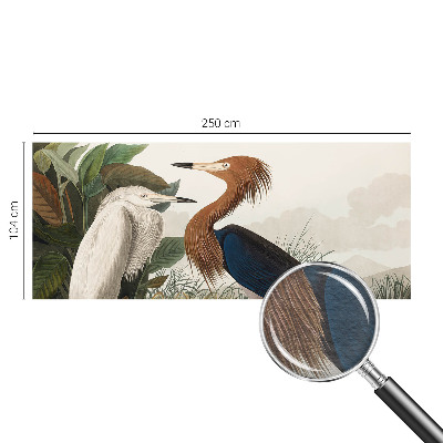 Modern fotótapéta Madarak a növényekben