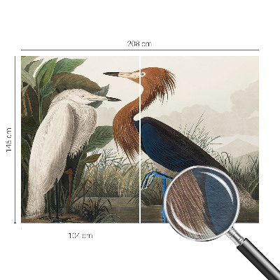 Modern fotótapéta Madarak a növényekben