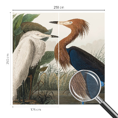 Modern fotótapéta Madarak a növényekben