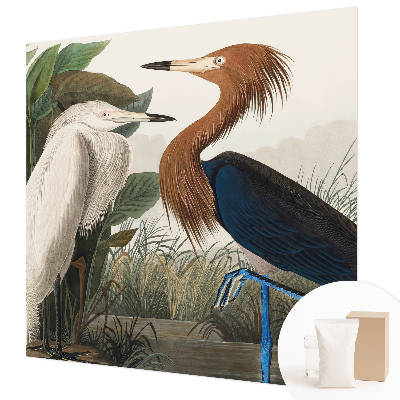 Modern fotótapéta Madarak a növényekben