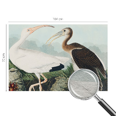 Fotótapéta méretre hálószobába Madárpár