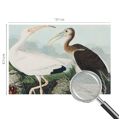 Fotótapéta méretre hálószobába Madárpár