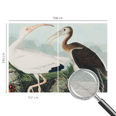 Fotótapéta méretre hálószobába Madárpár