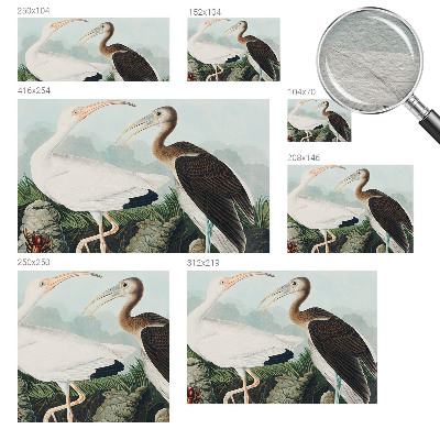 Fotótapéta méretre hálószobába Madárpár