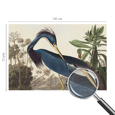 Dekoratív fotótapéta nappaliba Egzotikus természet