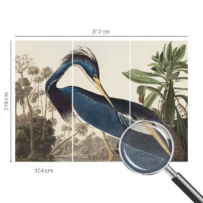 Dekoratív fotótapéta nappaliba Egzotikus természet