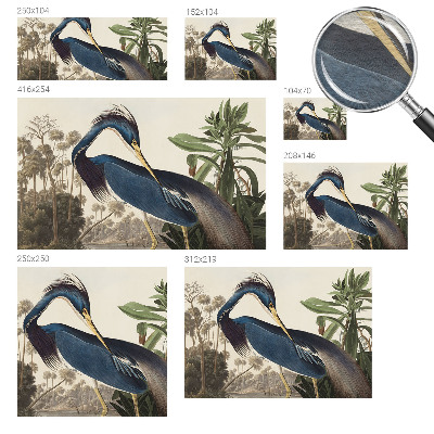 Dekoratív fotótapéta nappaliba Egzotikus természet